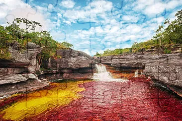 פאזל של caÃ±o cristales colombia