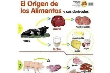 Animales y sus derivados