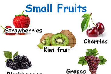 Small Fruits jigsaw puzzle