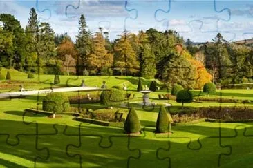 green forest jigsaw puzzle