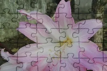 FLOWERS jigsaw puzzle