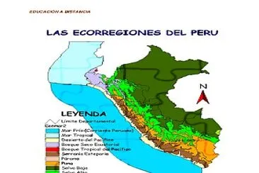 פאזל של ecorregiones del PerÃº