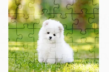 Cute:D jigsaw puzzle