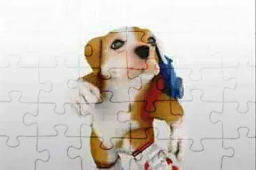 Chacarron jigsaw puzzle