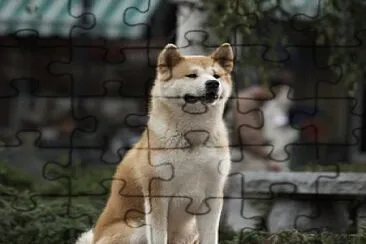 Hachiko jigsaw puzzle