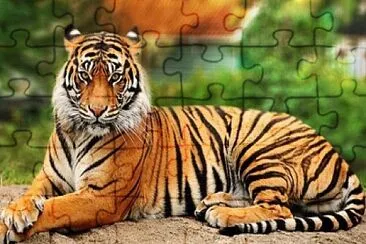 Animals 1 jigsaw puzzle