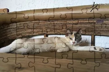 mascotas jigsaw puzzle