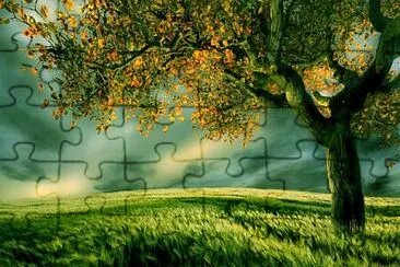 atardecer jigsaw puzzle