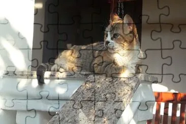 Prediletas jigsaw puzzle