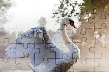 imagem jigsaw puzzle