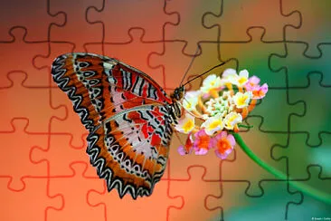 Borboleta colorida jigsaw puzzle