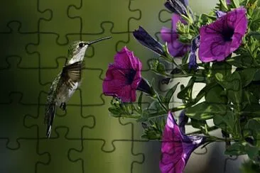 Beija Flor jigsaw puzzle