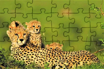 mom #314 jigsaw puzzle