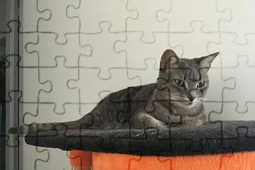 Flea jigsaw puzzle