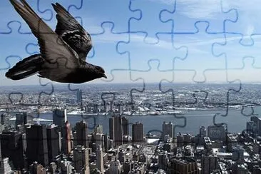 Flight jigsaw puzzle