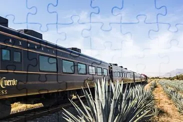 Tequila Train jigsaw puzzle