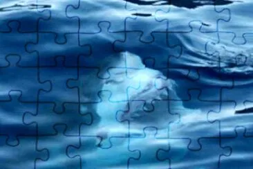 The real Jaws jigsaw puzzle