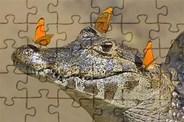 Opposites Attract jigsaw puzzle