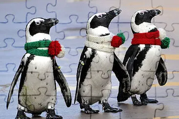 Holiday Penguins jigsaw puzzle