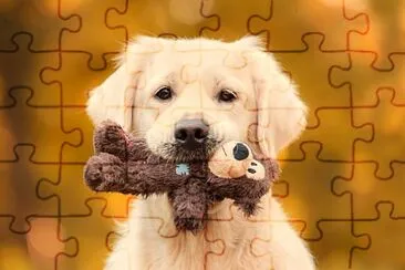 perro jigsaw puzzle