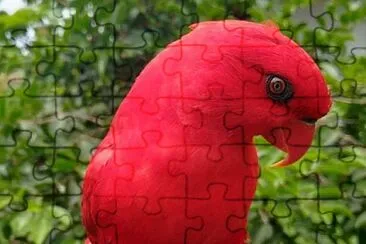 CENÃRIO K164 jigsaw puzzle