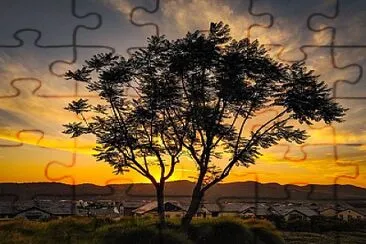 natural jigsaw puzzle