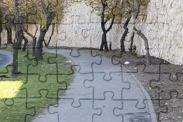 ×©×‘×™×œ jigsaw puzzle