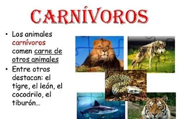 Animales CarnÃ­voros