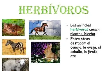 Animales HerbÃ­voros