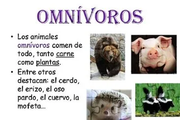 Animales OmnÃ­voros jigsaw puzzle