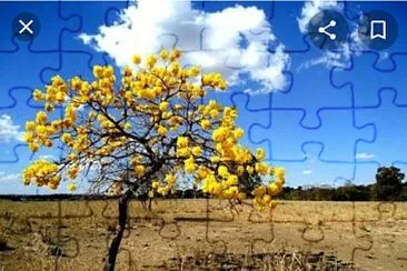 Cerrado jigsaw puzzle