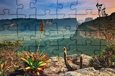 Cerrado jigsaw puzzle