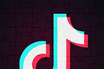 TikTok jigsaw puzzle