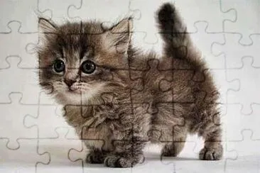 400x300 jigsaw puzzle