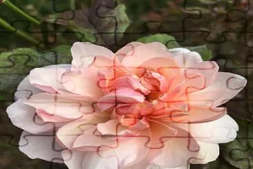 flores jigsaw puzzle