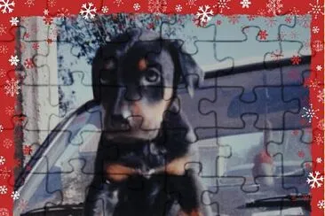 edgar jigsaw puzzle