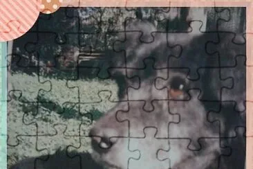 edgar jigsaw puzzle