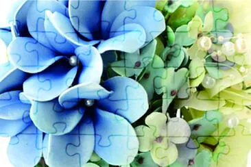 é›žè›‹èŠ± jigsaw puzzle