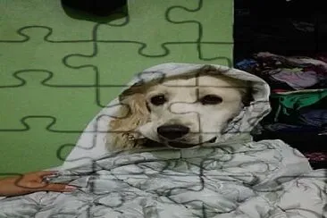 toby jigsaw puzzle