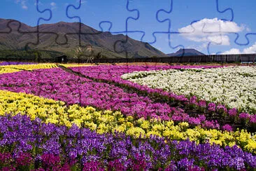 imagem jigsaw puzzle