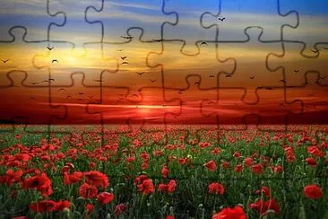 Foto jigsaw puzzle