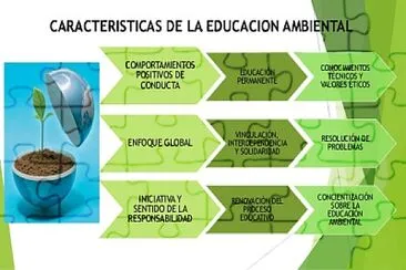 Descubre las caracteristicas de E.A.