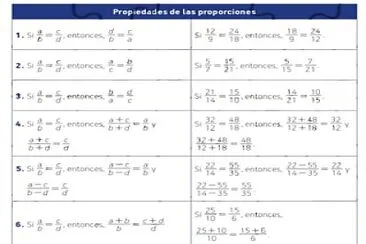 Rompecabesas de las proporciones jigsaw puzzle