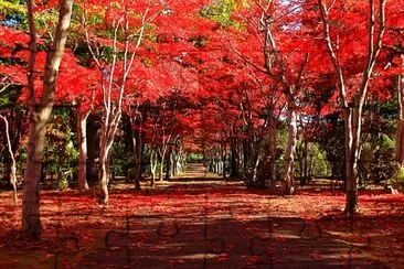 maple jigsaw puzzle