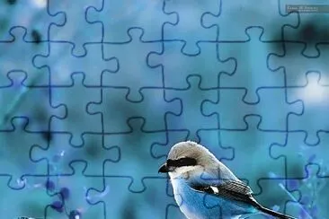 imagem jigsaw puzzle