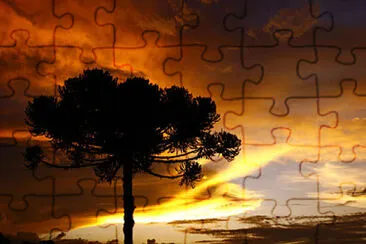 imagem jigsaw puzzle