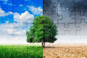 Weather puzzle jigsaw puzzle