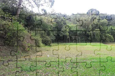 Bosque jigsaw puzzle