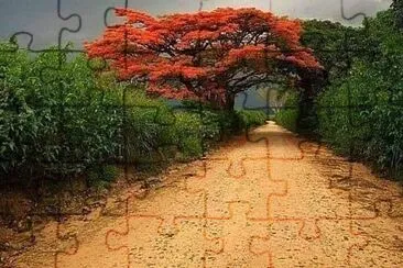 12 jigsaw puzzle