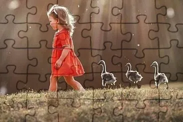 13 jigsaw puzzle